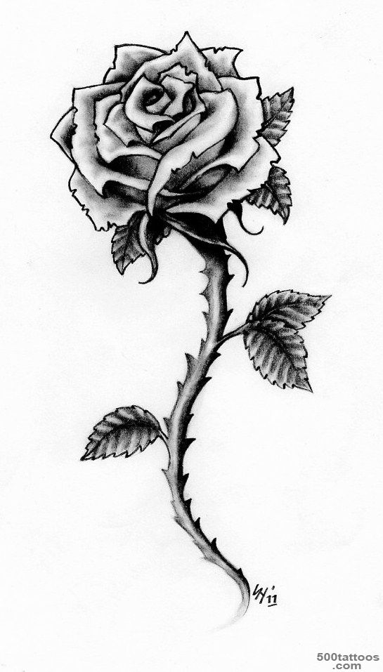 Rose Tattoo Design   Tattoo  JOKO Media_40