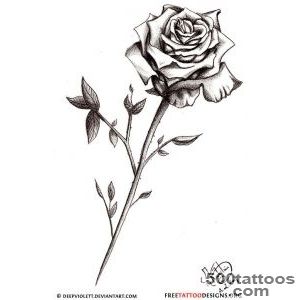 50 Rose Tattoos + Meaning_14