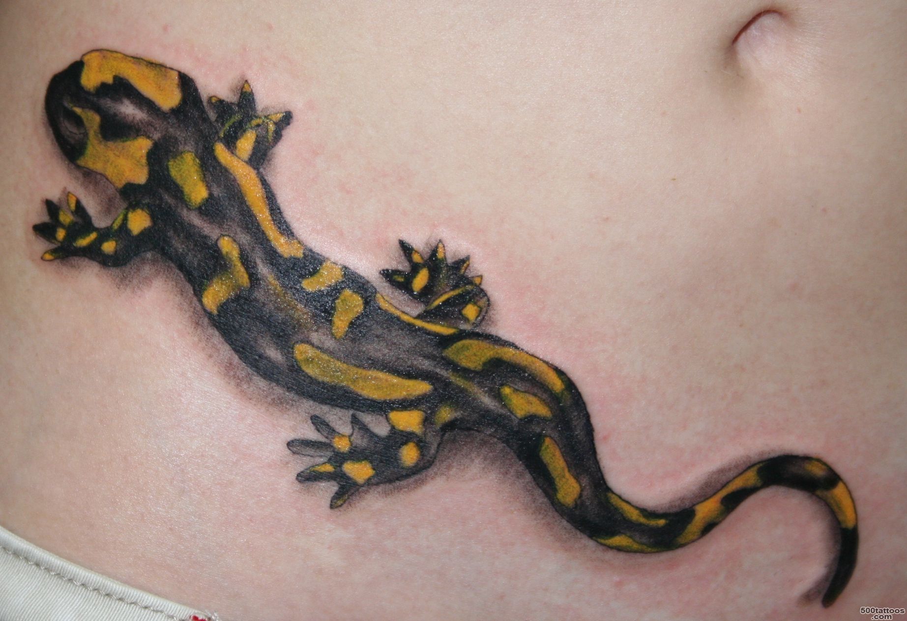 DeviantArt More Like Fire Salamander Real Tattoo by 2Face Tattoo_3