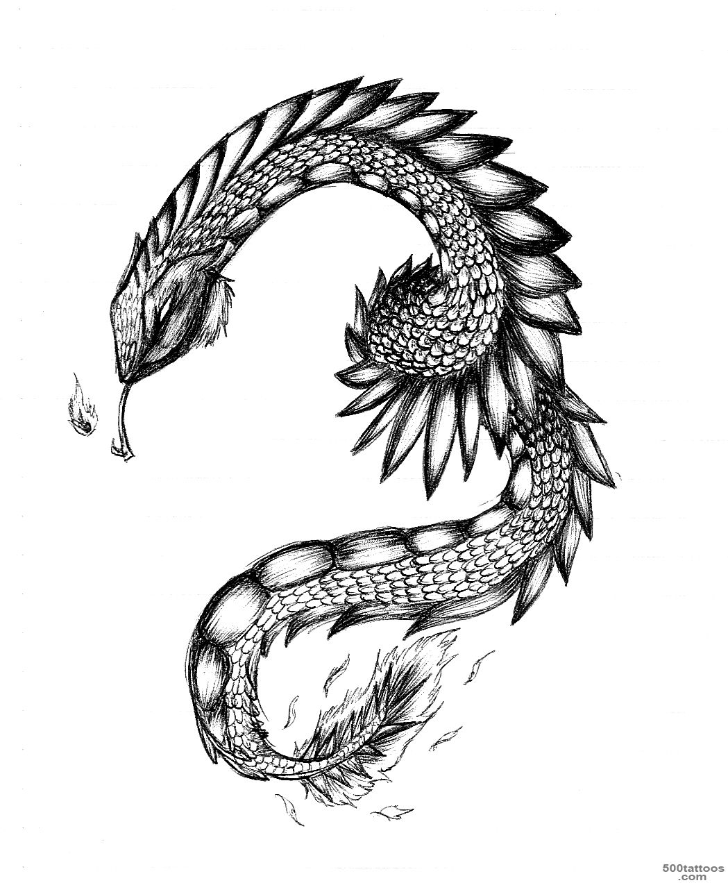 DeviantArt More Like Salamander tattoo by TygerStKuan_23
