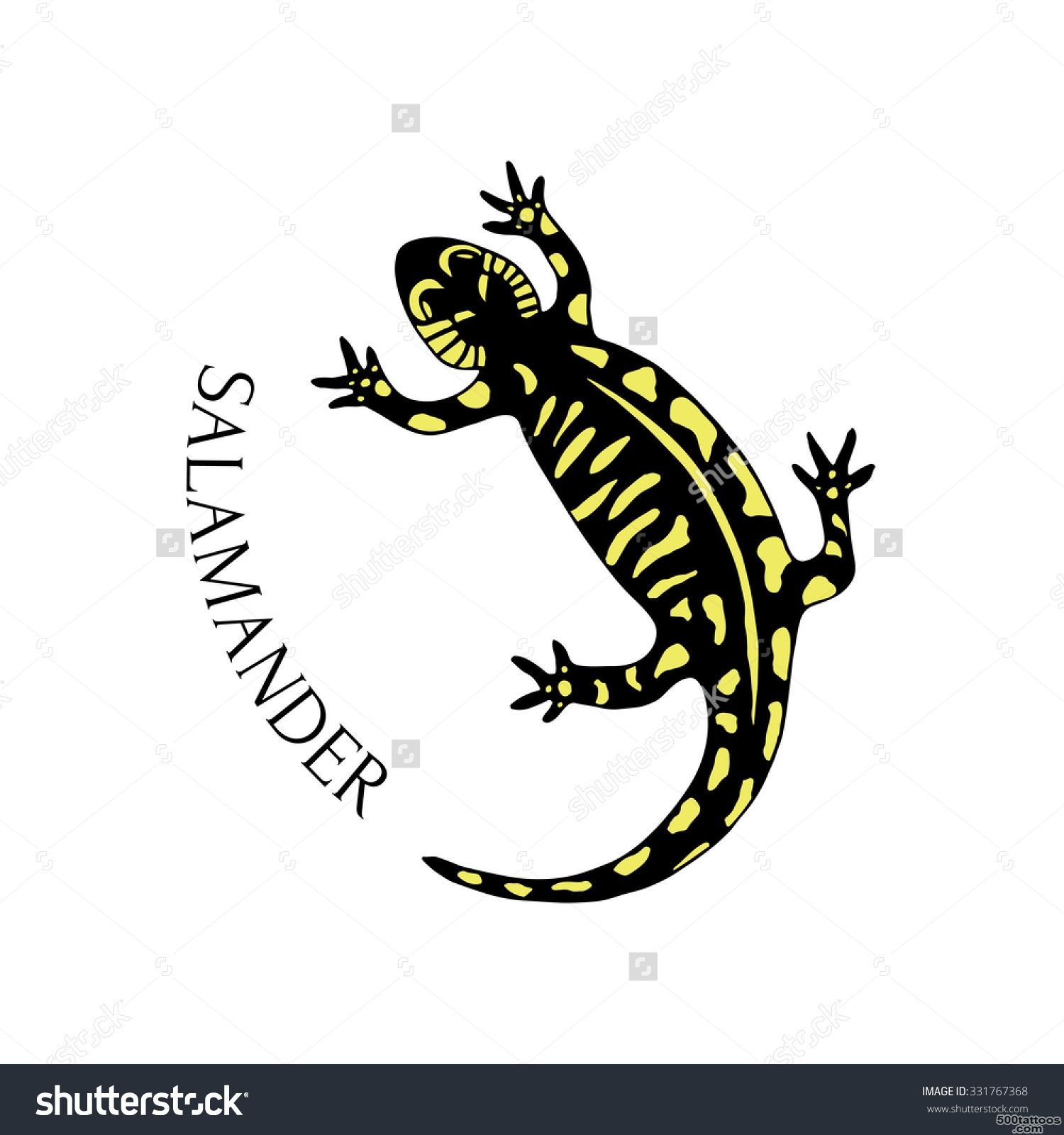Hand Drawn Salamander In Black And Yellow Color. Vector For Tattoo ..._40