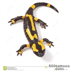 Pin Spotted Salamander Tattoo Pictures To Pin On Pinterest on _43