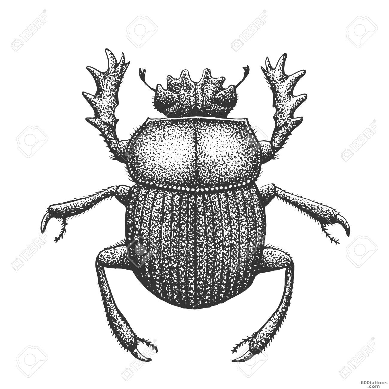 Scarab Tattoo Images, Stock Pictures, Royalty Free Scarab Tattoo ..._18
