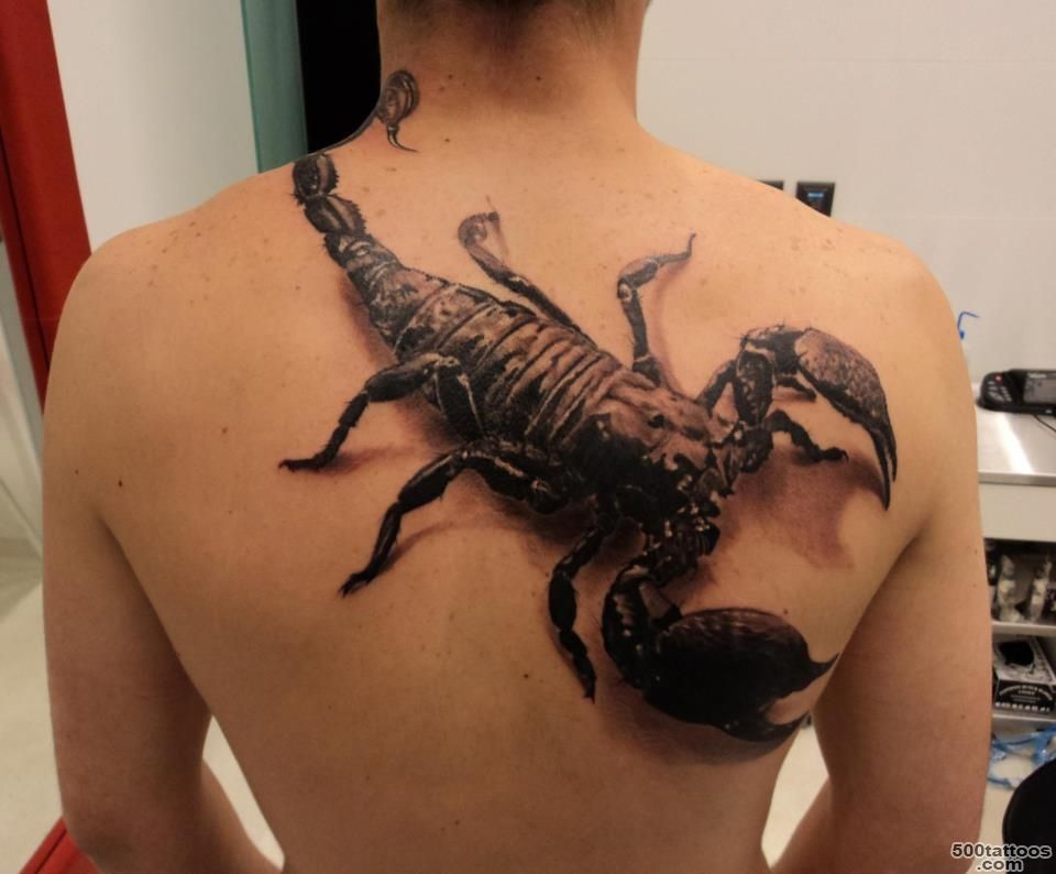 Amazing Scorpions Tattoo Ideas  Best Tattoo 2015, designs and ..._9