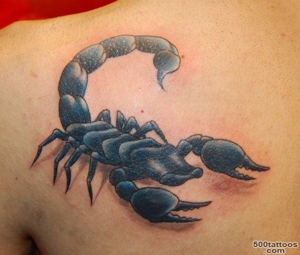 Scorpion Tattoo Designs  Tattoo Ideas Gallery amp Designs 2016 ..._24