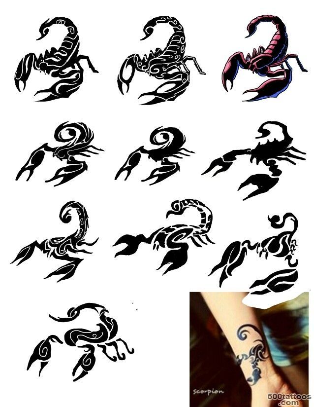 scorpion tattoo ideas  Scorpion Tattoos Designs Collection  Body ..._26