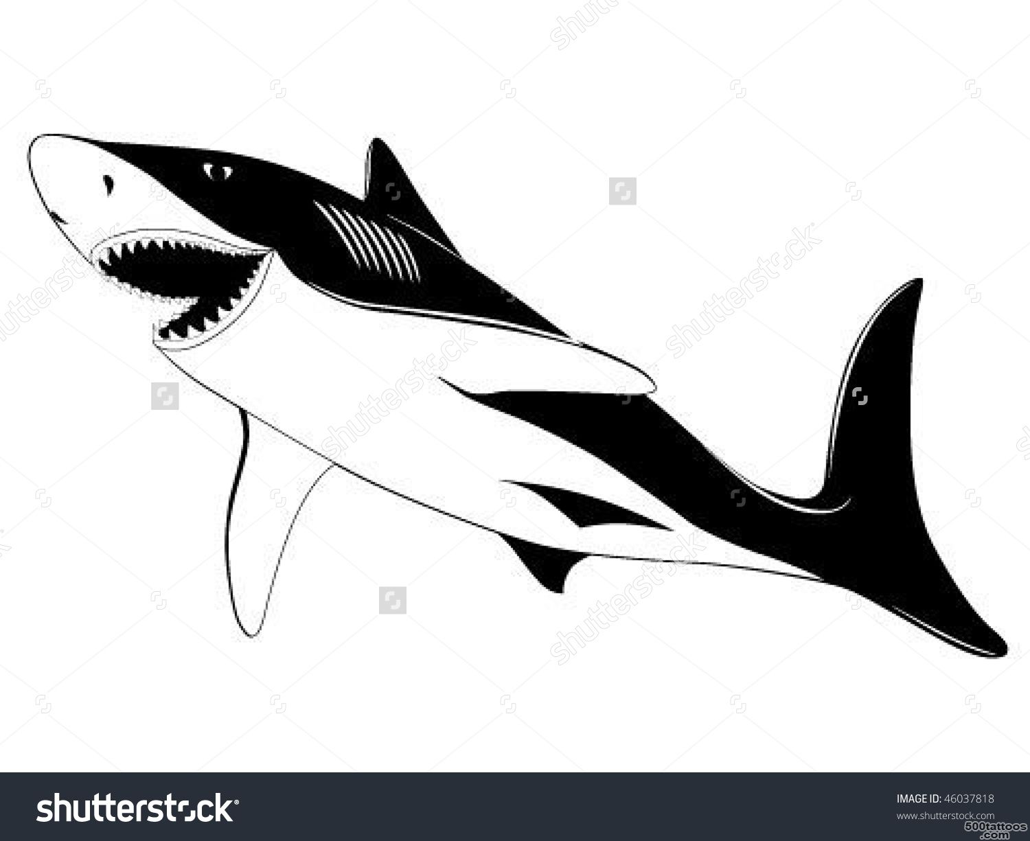 Black Shark Tattoo Stock Photos, Images, amp Pictures  Shutterstock_33