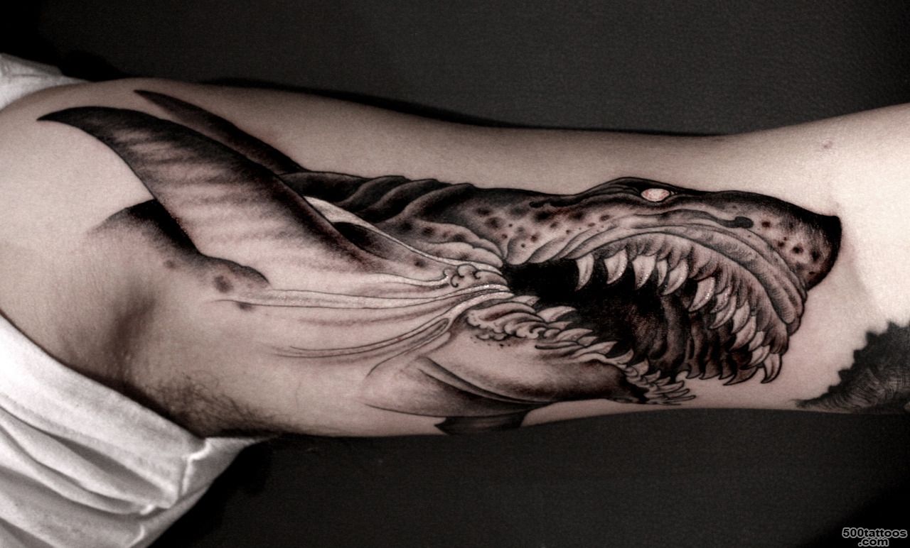 Shark Tattoo Images amp Designs_30