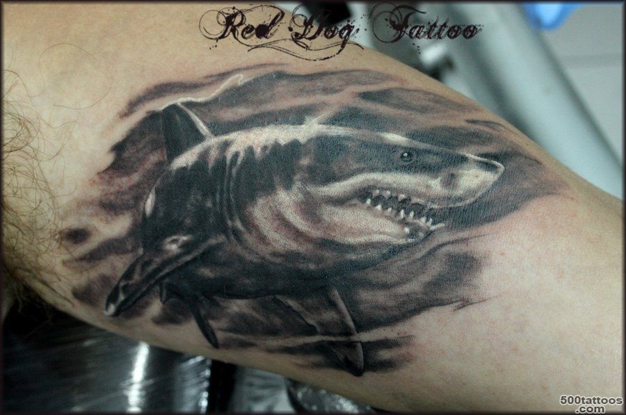 Shark Tattoos, Designs And Ideas  Page 9_23