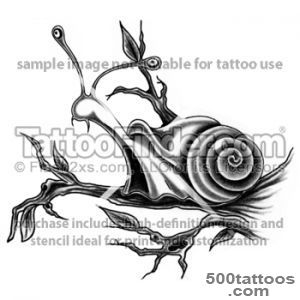 Snail Tattoo Images amp Designs_25