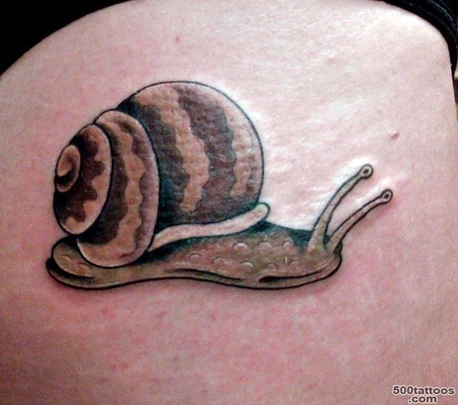 65+ Famous Snail Tattoos_5