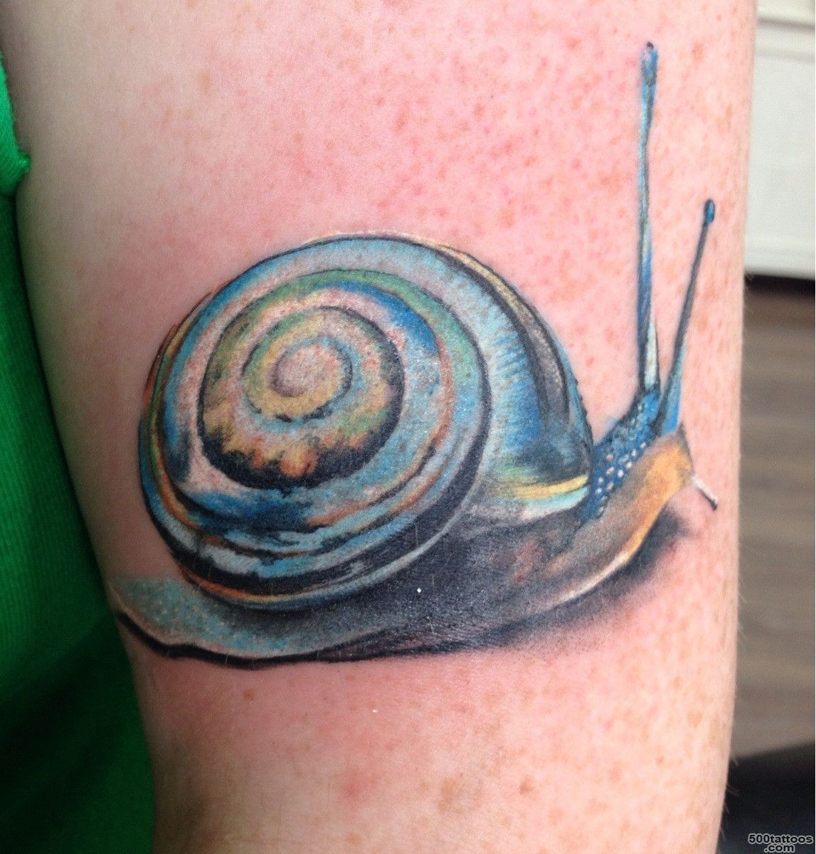 My snail tattoo my Karen at Curiosities tattoo studio Ipswich ..._28