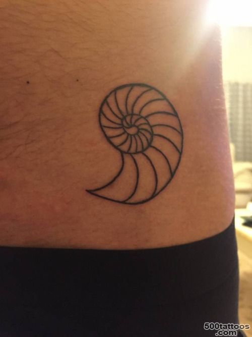 sea snail tattoos  Tumblr_48
