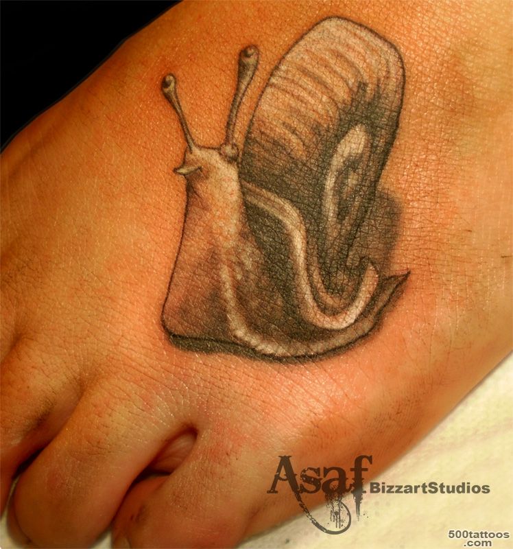 Snail Tattoo Images amp Designs_24