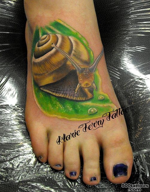 Snail Tattoo Images amp Designs_35