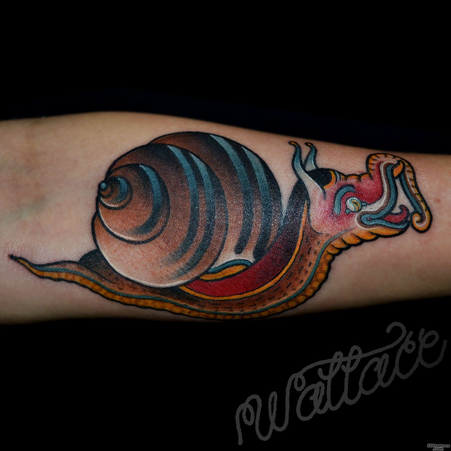 snail tattoo  RAYMOND WALLACE TATTOOING_26
