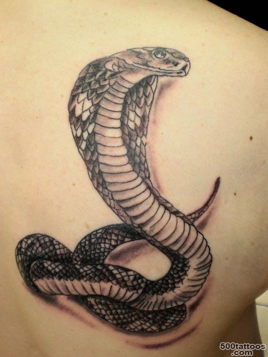 Snake Tattoo Meaning amp Snake Tattoo Ideas   Pretty Designs_8
