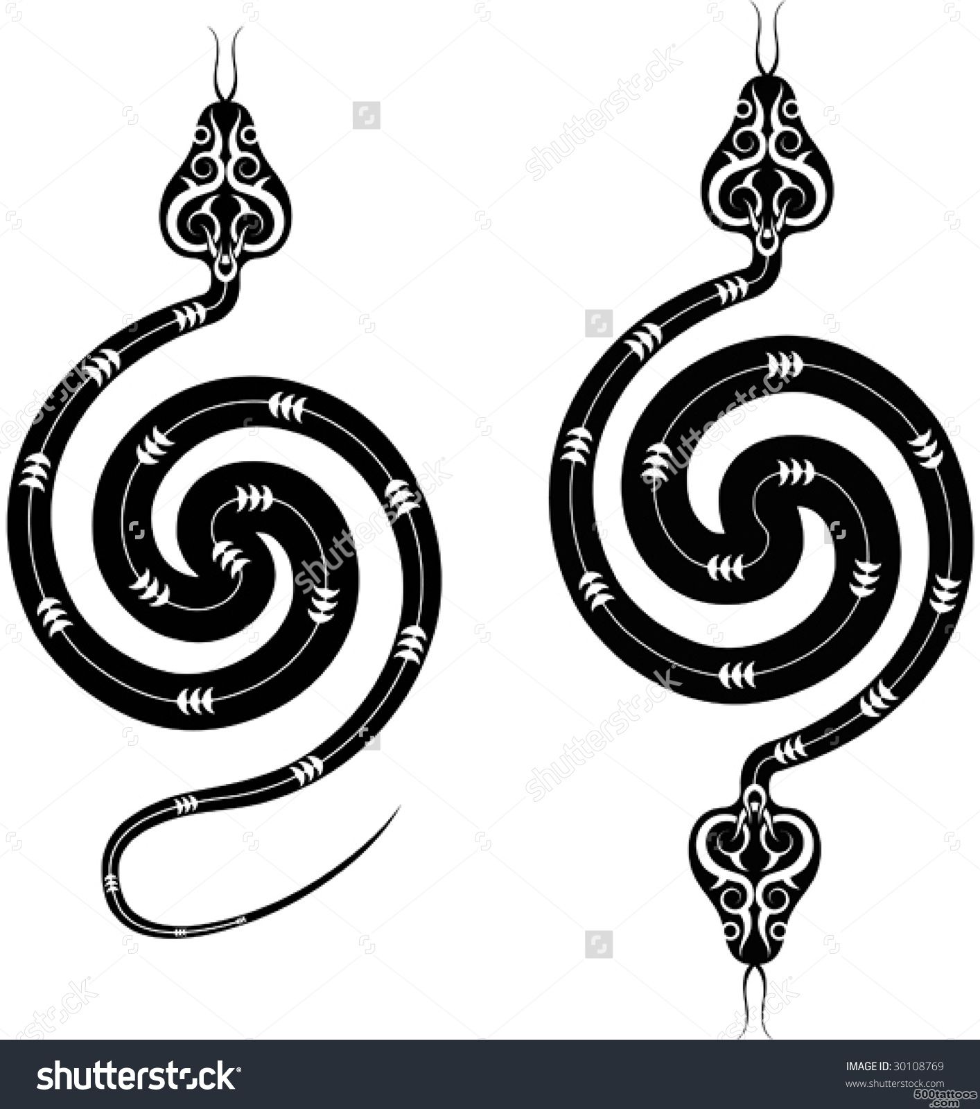 Snake Tattoo Stock Photos, Images, amp Pictures  Shutterstock_35