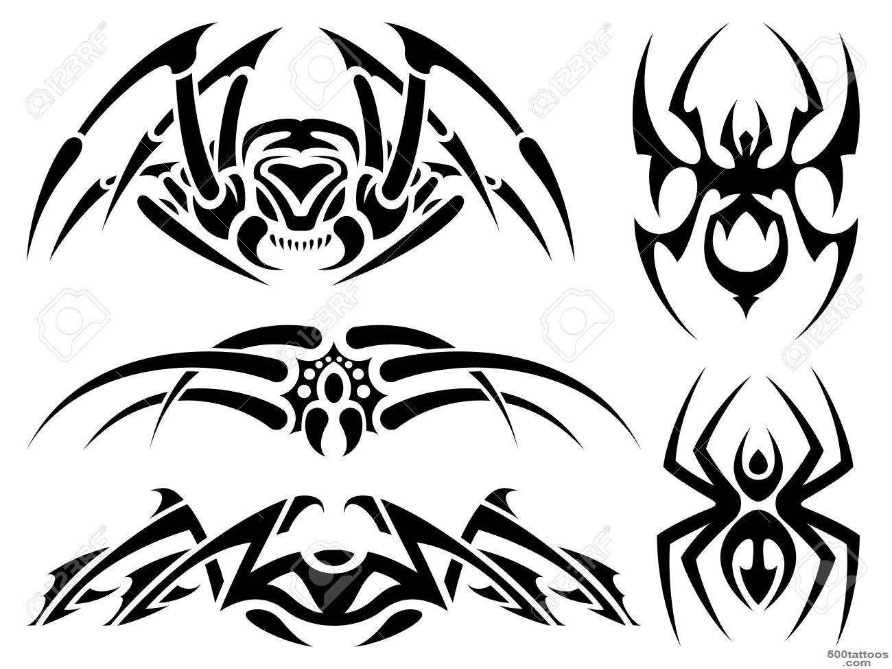 Spider Tattoo Images, Stock Pictures, Royalty Free Spider Tattoo ..._20