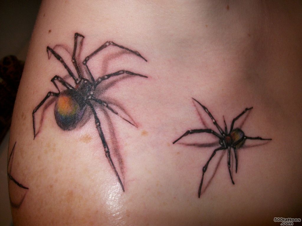 Spider Tattoo Images amp Designs_30