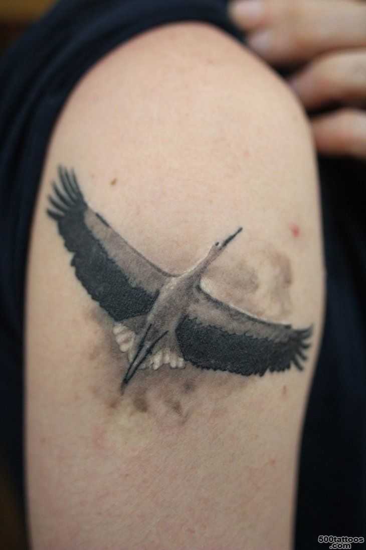 Stork tattoo by Leshalauz on DeviantArt_1