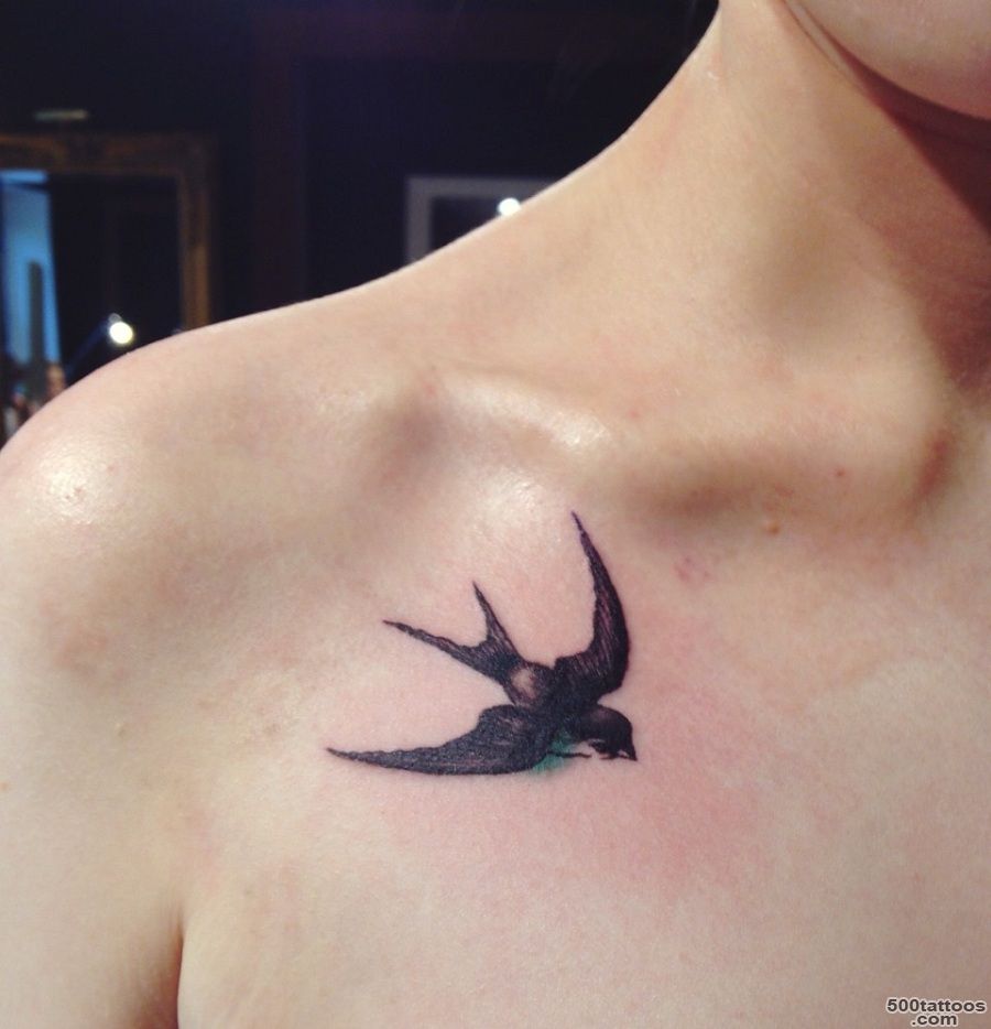 All Swallow tattoo designs symbolize confidence and peace  Best ..._32