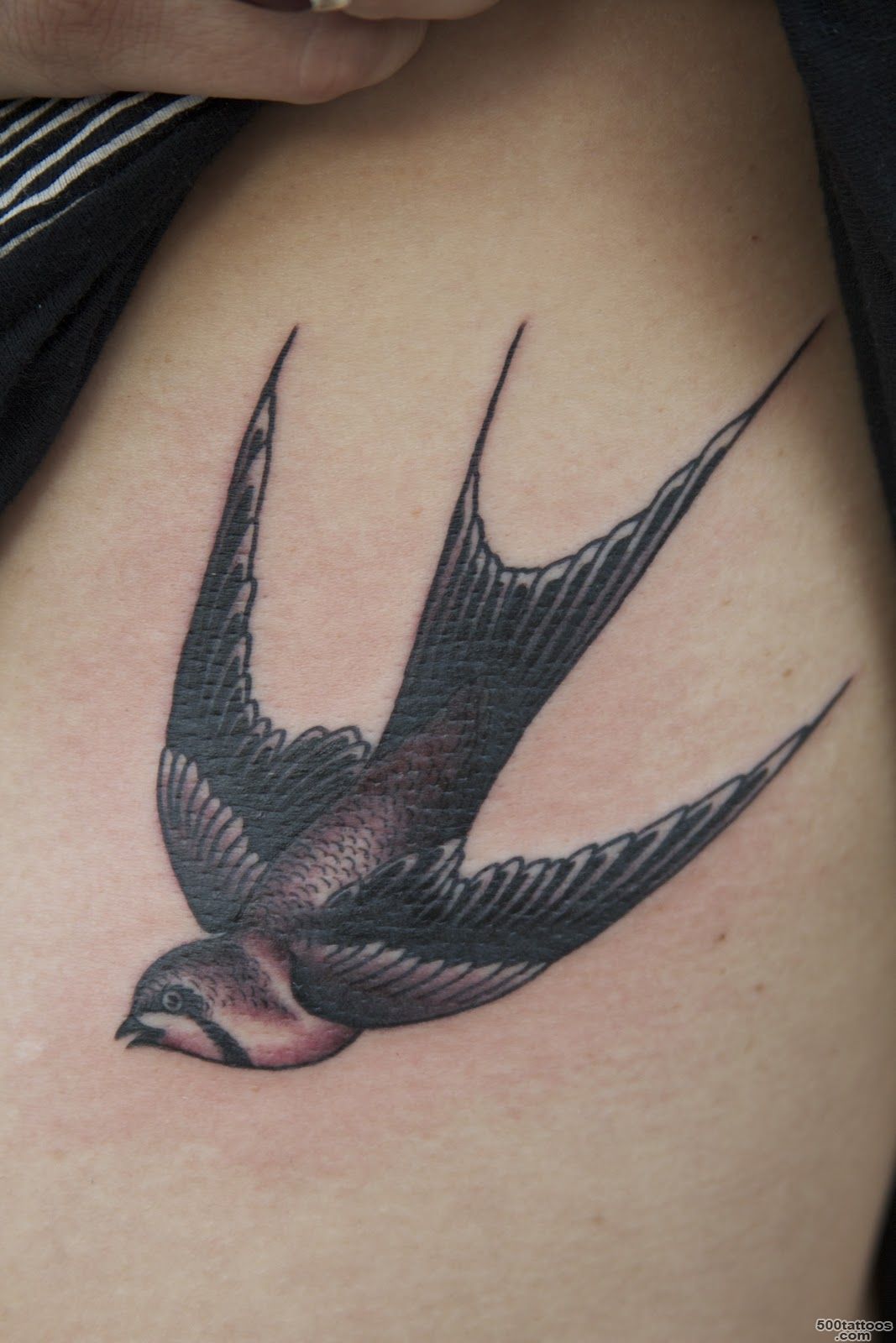 Cutest Swallow Tattoo Designs  Tattoo Ideas Gallery amp Designs ..._1