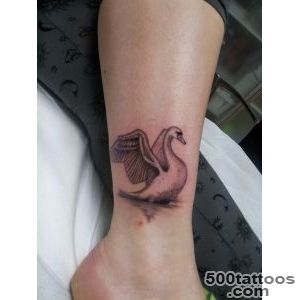 Swan Tattoo Tattoo Picture_38