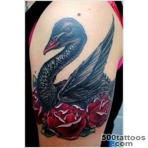 Tender Swan Tattoo Designs  Tattoo Art Club – Free Tattoo Designs _26