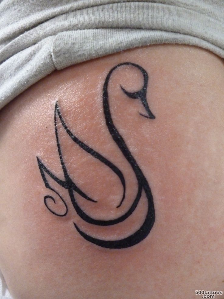 14 Swan Tattoo Images, Pictures And Latest Ideas_4