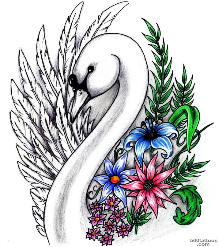 Swan tattoo ideas on Pinterest  Swan Tattoo, Black Swan and Color ..._15