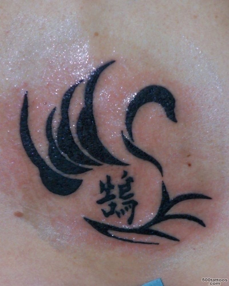 Swan tattoos   Tattooimages.biz_31