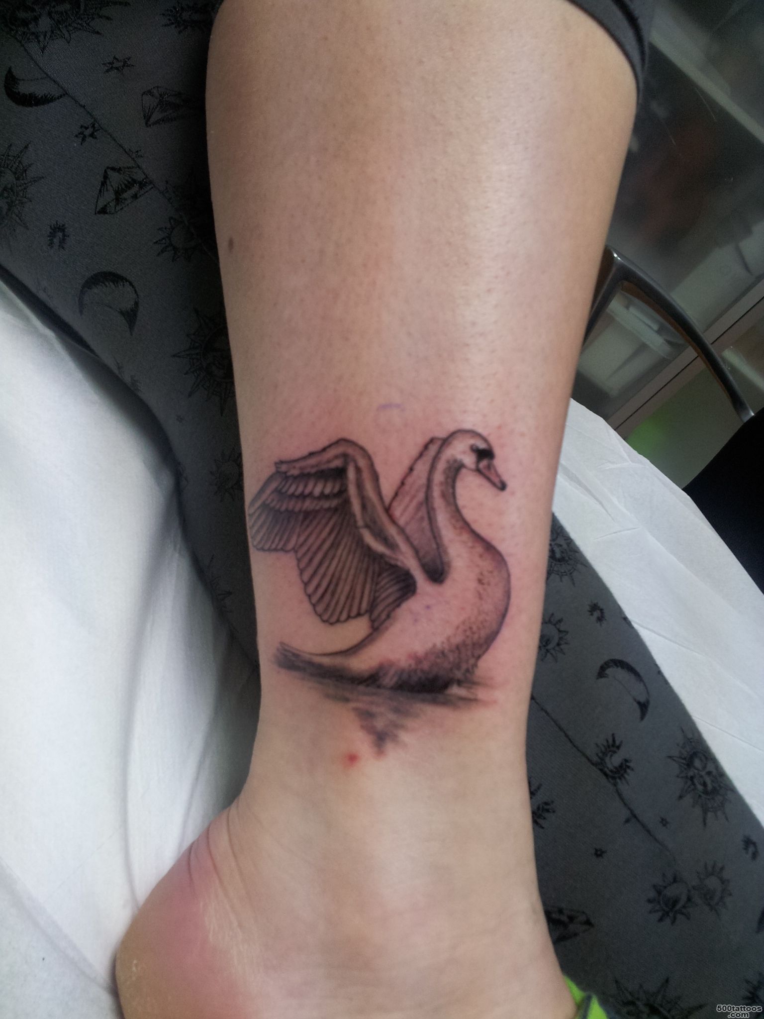 Swan Tattoo Tattoo Picture_38