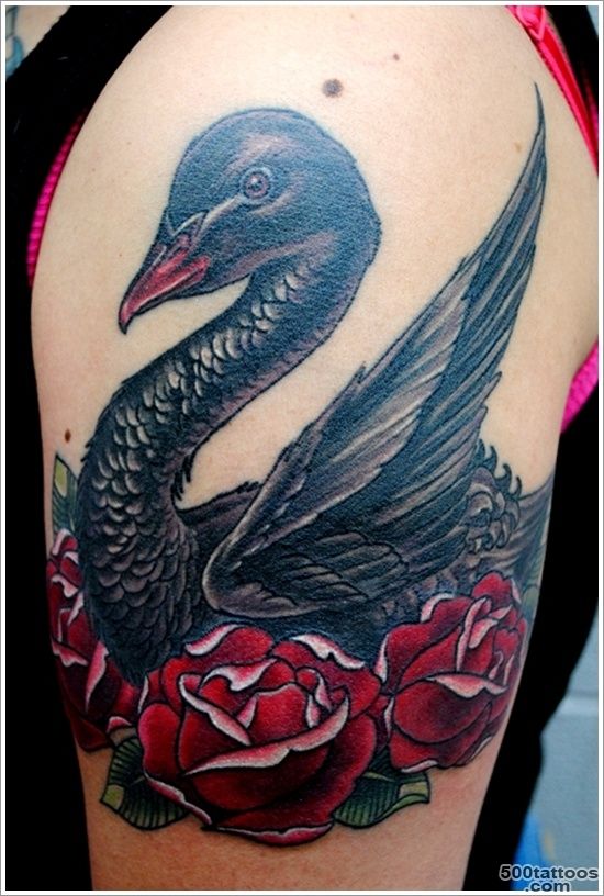 Tender Swan Tattoo Designs  Tattoo Art Club – Free Tattoo Designs ..._26