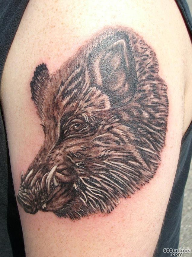 Boar Tattoo Images amp Designs_12