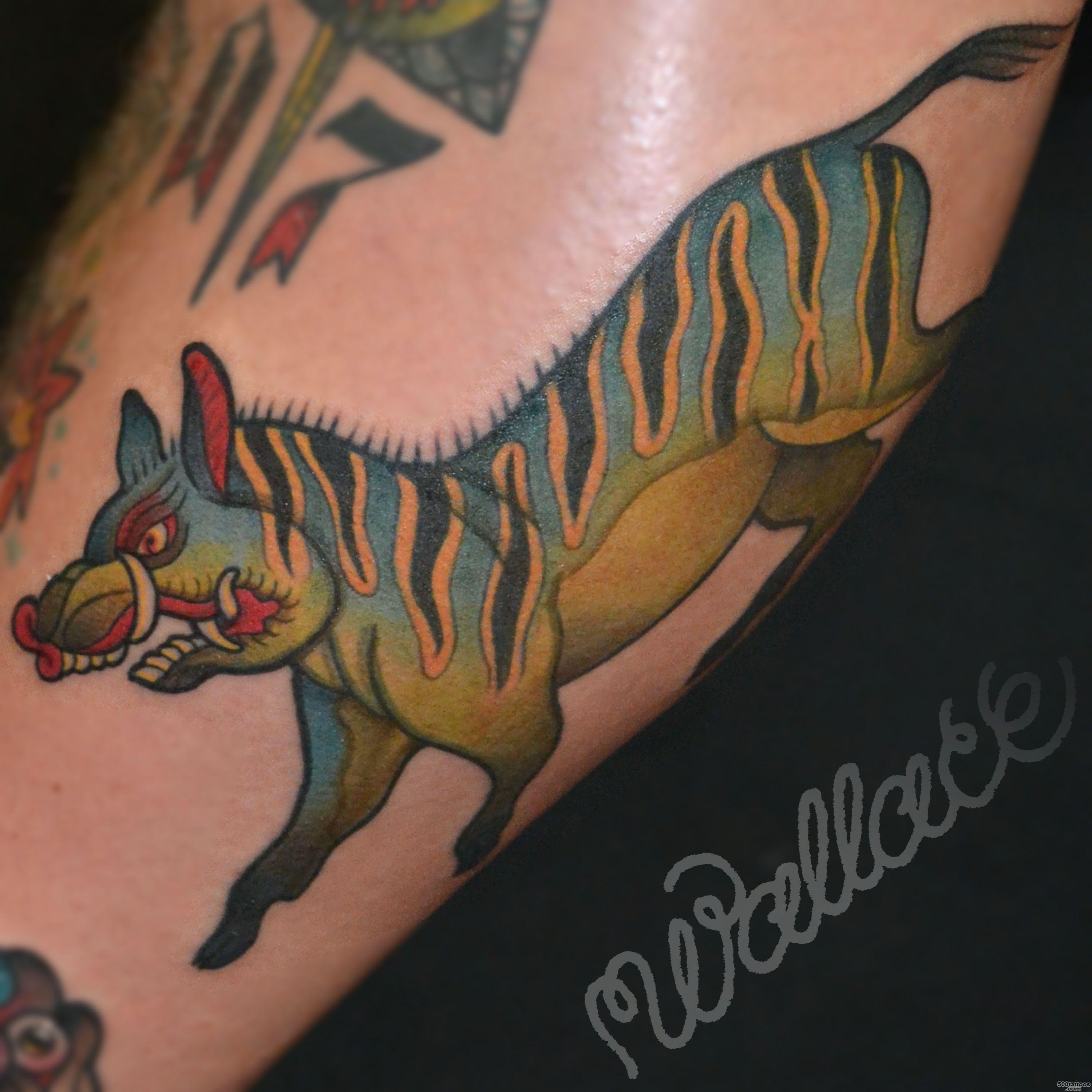 Boar Tattoo  RAYMOND WALLACE TATTOOING_15