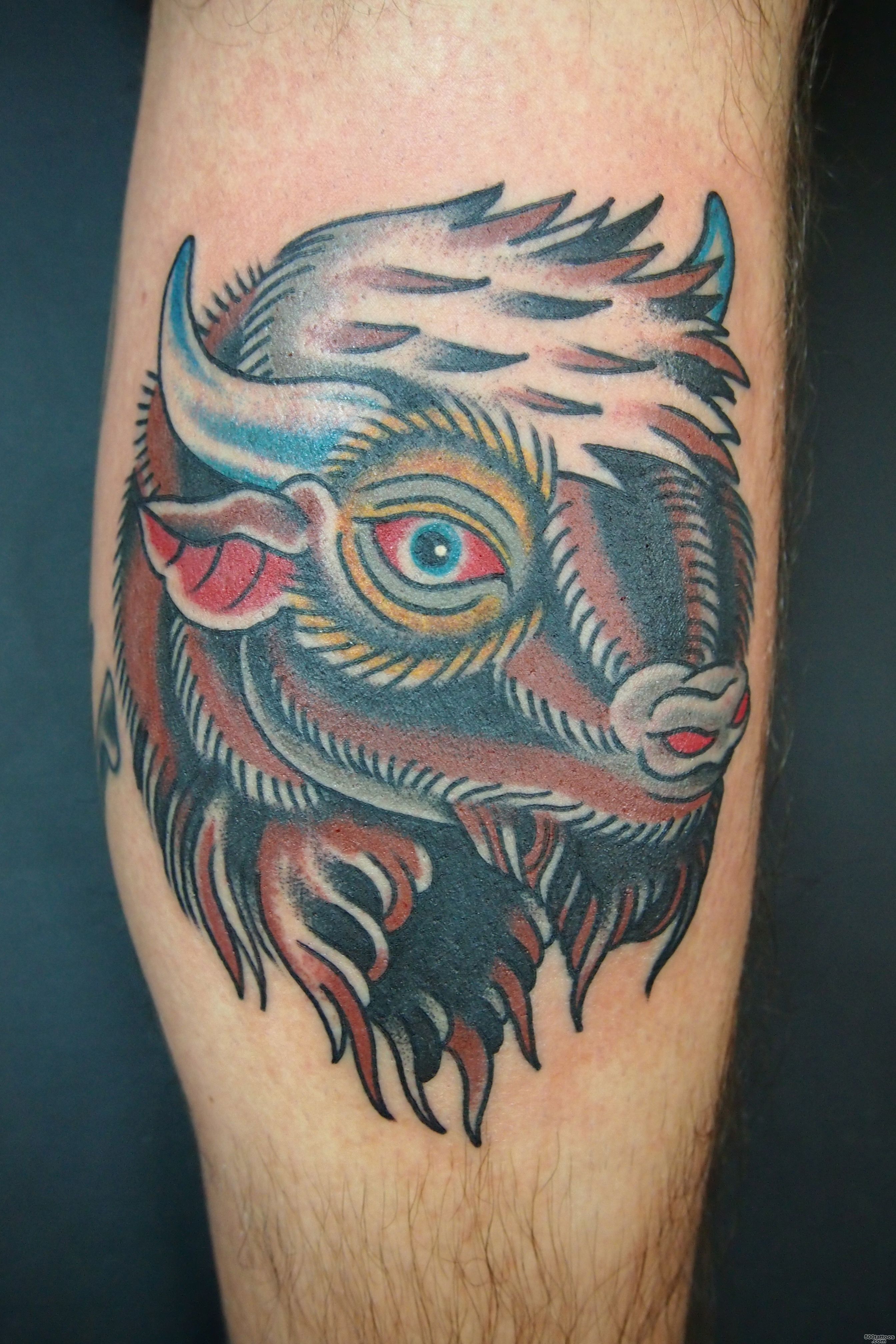 bison tattoo  Eyethief#39s Blog_12