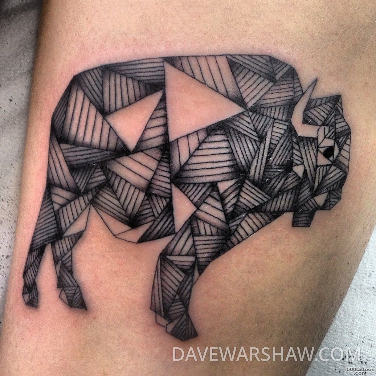 davewarshaw.com   buffalo tattoo_2