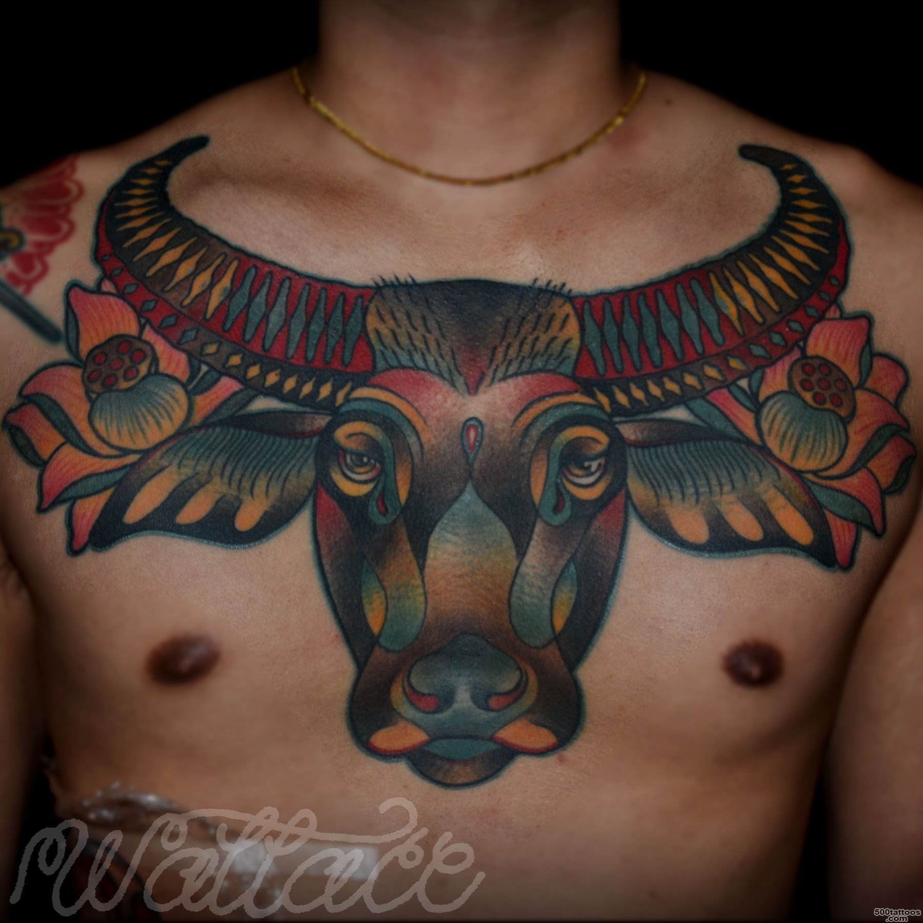 Healed Buffalo Tattoo  RAYMOND WALLACE TATTOOING_1