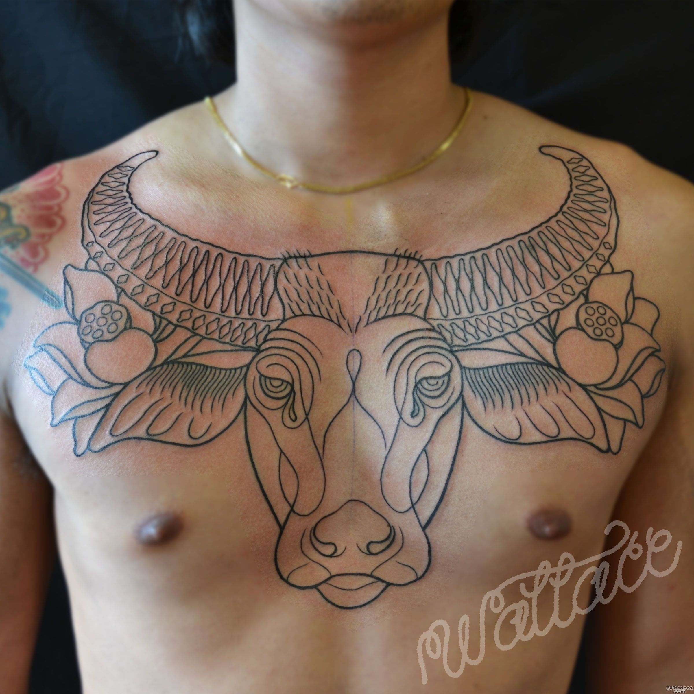 water buffalo tattoo  RAYMOND WALLACE TATTOOING_18