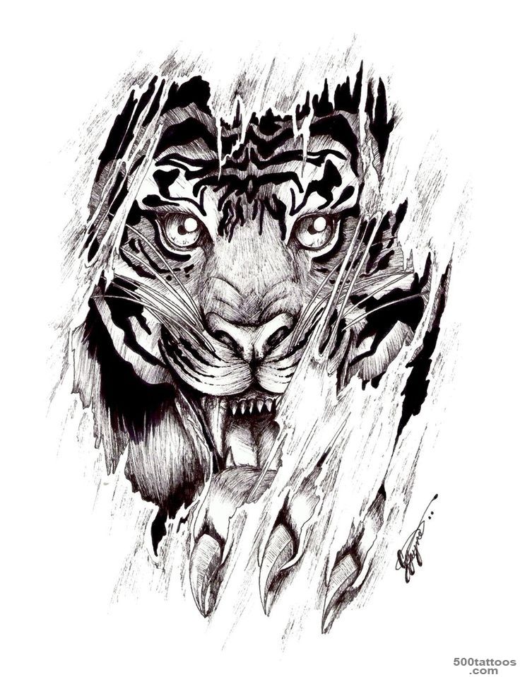 1000+ ideas about Tiger Tattoo Design on Pinterest  Tiger Tattoo ..._19