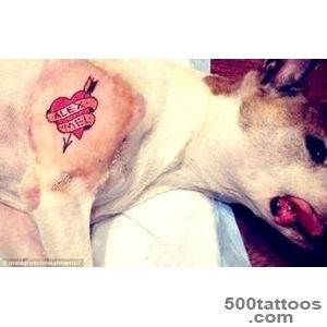 Brooklyn tattoo artist who inked dog criticized by animal rights _11