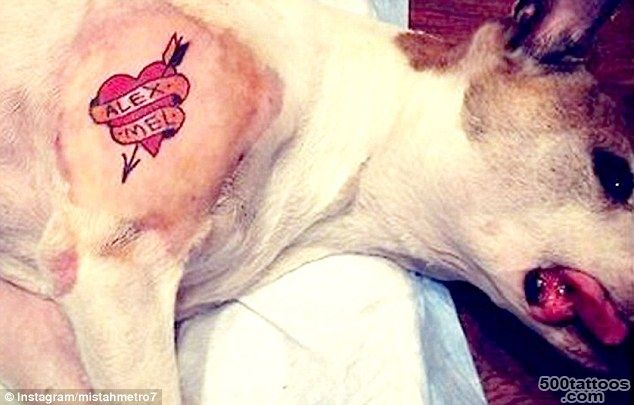 Brooklyn tattoo artist who inked dog criticized by animal rights ..._11