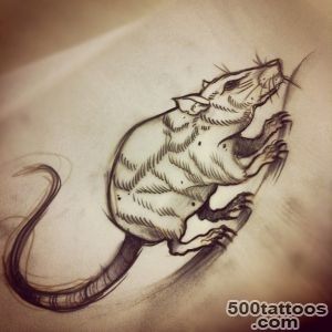 Sketch for tattoo #rat #tattoo #willemxsm  Willem_XSM  Flickr_43