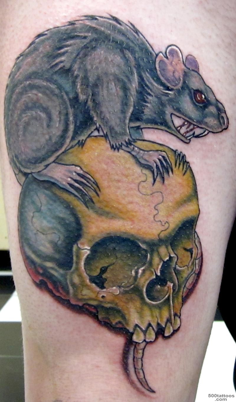 20 Rat Tattoo Designs And Images_10