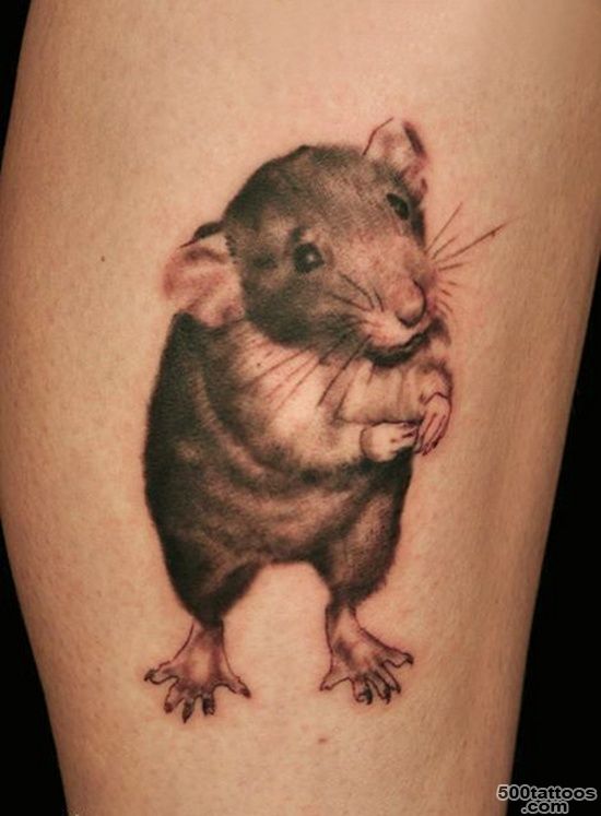 30 Cool Rat Tattoo Ideas For You_1