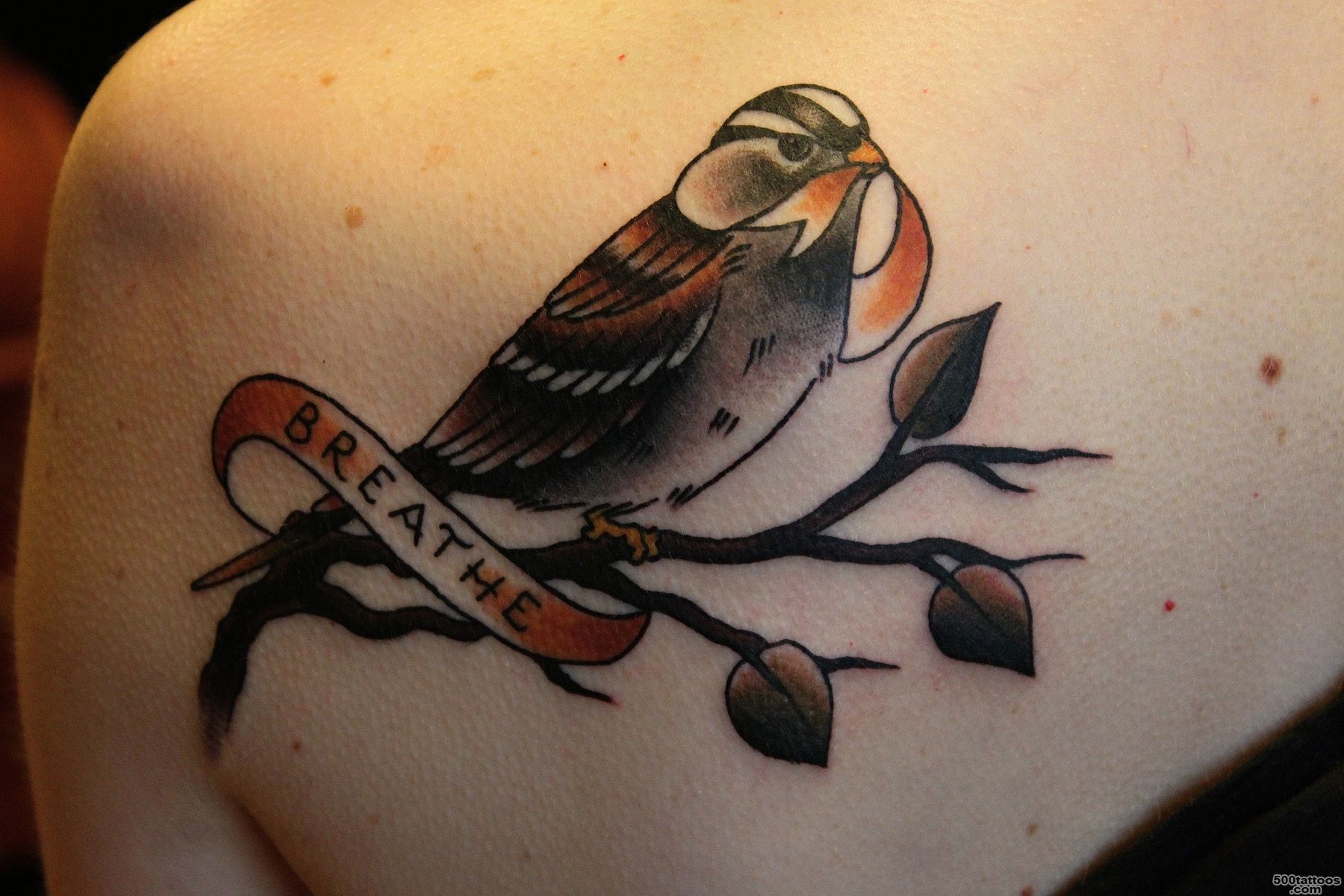 Sparrow Tattoos Designs, Ideas and Meaning  Tattoos For You_21