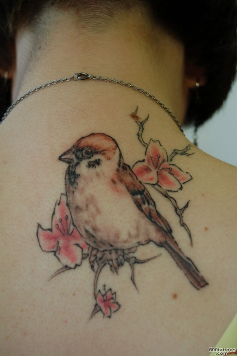Sparrow Tattoos Designs, Ideas and Meaning  Tattoos For You_48