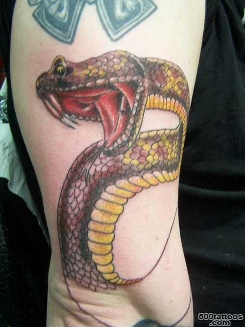 Horned Viper in progress – Tattoo Picture at CheckoutMyInk.com_6