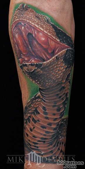 Mike DeVries  Tattoos  Animal  Gaboon Viper_44